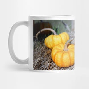 Three Mini Pumpkins Mug